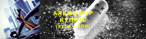 крисы Алзамай