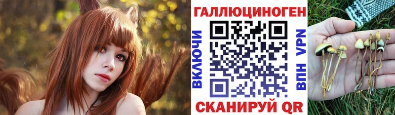 Псилоцибиновые грибы мицелий  хочу наркоту  Апшеронск 
